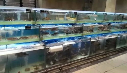 春季生鮮類商品保鮮實戰指導 水產品篇