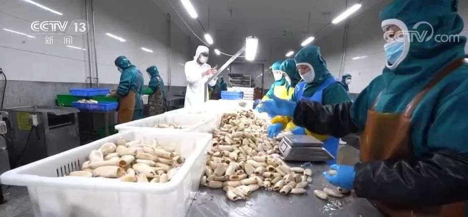 “大食物觀”里的產業升級 水產預制菜延長水產養殖產業鏈